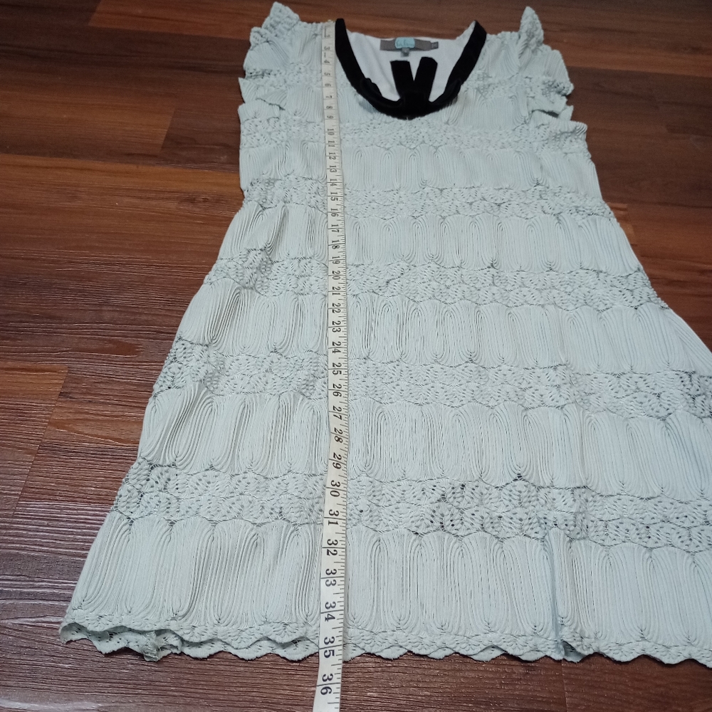 Anthro eva Franco cata swing dress Romantic Coquette - Picture 8 of 9